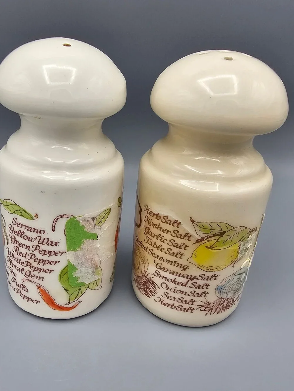 Vintage Ceramic Salt and Pepper Shakers with Illustrated Labels